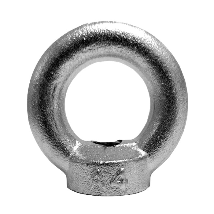 Augenmutter geschmiedet DIN 582 M24 Edelstahl main product photo