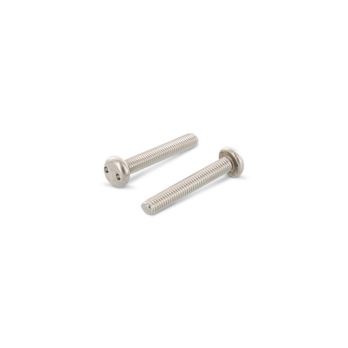 Zylinderkopf-Sicherheitsschrauben, Zweilochantrieb Art. 9101 A2 M4X25 SP8 (100 Stück) main product photo
