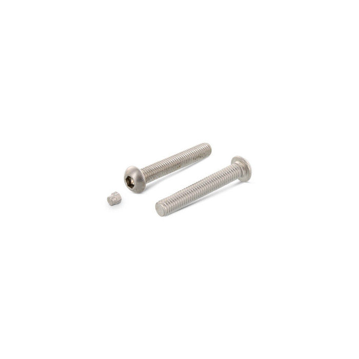 Flachrundkopf-Sicherheitsschrauben ISK mit Stopfen Art. 9140 A2 M8X16 mit Stopfen (100 Stück) main product photo