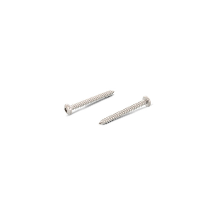 Linsenkopf-Blechschrauben mit Innenvierkant DIN 7981 A2 C 3,9X16 V1 (200 Stück) main product photo