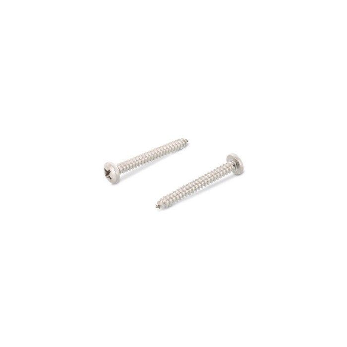 Linsenkopf-Blechschrauben mit Kreuzschlitz DIN 7981 A2 C 4,2X55 H (200 Stück) main product photo