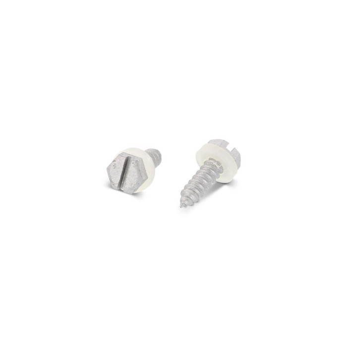 mit Schlitz und Gleitsilberbeschichtung DIN 7976 A2 C 4,2X13 SZ, Polyamidscheibe 10 mm (500 Stück) main product photo