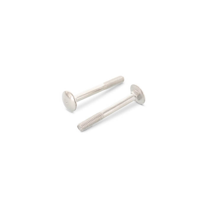 Flachrundschrauben mit Vierkantansatz DIN 603 A4 M10X200 (50 Stück) main product photo
