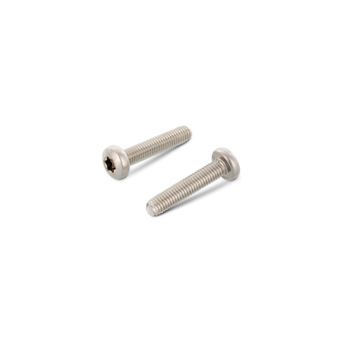 Gewindefurchende Linsenschrauben, Form CE DIN 7500 A2 CE M6X25 TX30 (500 Stück) main product photo