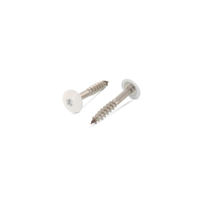 Trespo Flachrundkopf-Holzschrauben mit ISR, farbig Art. 9086 A4 5,5X35 TX20 - RAL 9010 Reinweiß (100 Stück) main product photo