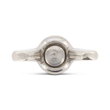 Flügelschrauben, amerikanische Form Art. 316 A4 M10X40 (25 Stück)