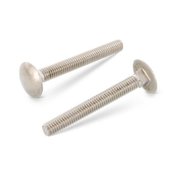 Flachrundschrauben mit Vierkantansatz, Vollgewinde DIN 603 A4 M10X70/70 (50 Stück)