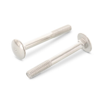 Flachrundschrauben mit Vierkantansatz DIN 603 A4 M12X90 (25 Stück)