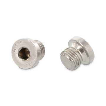 Verschlußschrauben mit Bund und Innensechskant DIN 908 A2 G 1/4" nach DIN 228 (50 Stück)