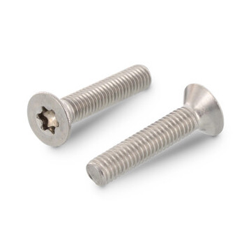 Senkschrauben mit Innensechsrund und Vollgewinde ISO 10642 A4 M5X12 TX25 (500 Stück)
