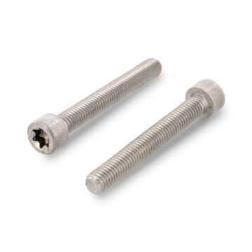 Zylinderschrauben mit Innensechsrund ISO 14579 A2-70 M2X4 TX6 (500 Stück)