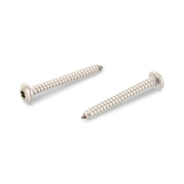 Flachkopf-Blechschrauben mit Innensechsrund ISO 14585 A4 C 5,5X38 TX25 (500 Stück)