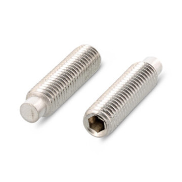 Gewindestifte mit Innensechskant und Zapfen ISO 4028 A2 M5X20 (500 Stück)