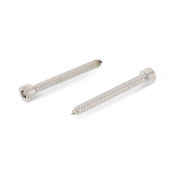 Blechschrauben mit Kopf nach DIN 912, dk = 8,5 mm Art. 9051 A2 C 5,5X22 SW 4 (500 Stück)