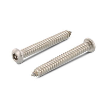 Flachrundkopf-Sicherheitsschrauben mit ISK + Pin Art. 9110 A2 C 6,3X38 ISK-PIN 4 (100 Stück)